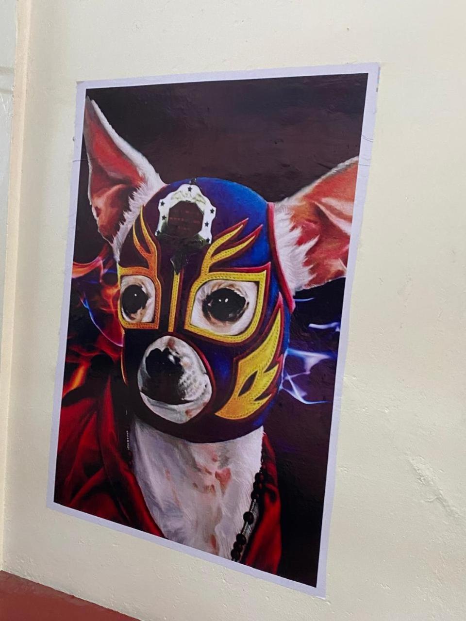 فندق Mil Mascaras Oaxaca المظهر الخارجي الصورة
